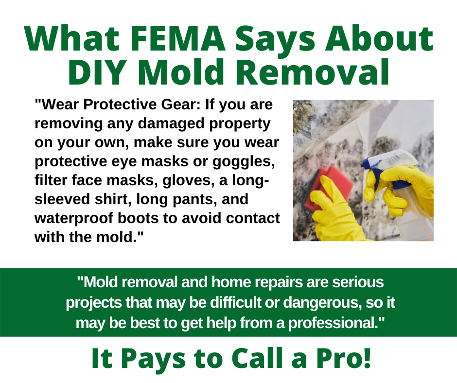 Orange County CA - What FEMA Says About DIY Mold Removal