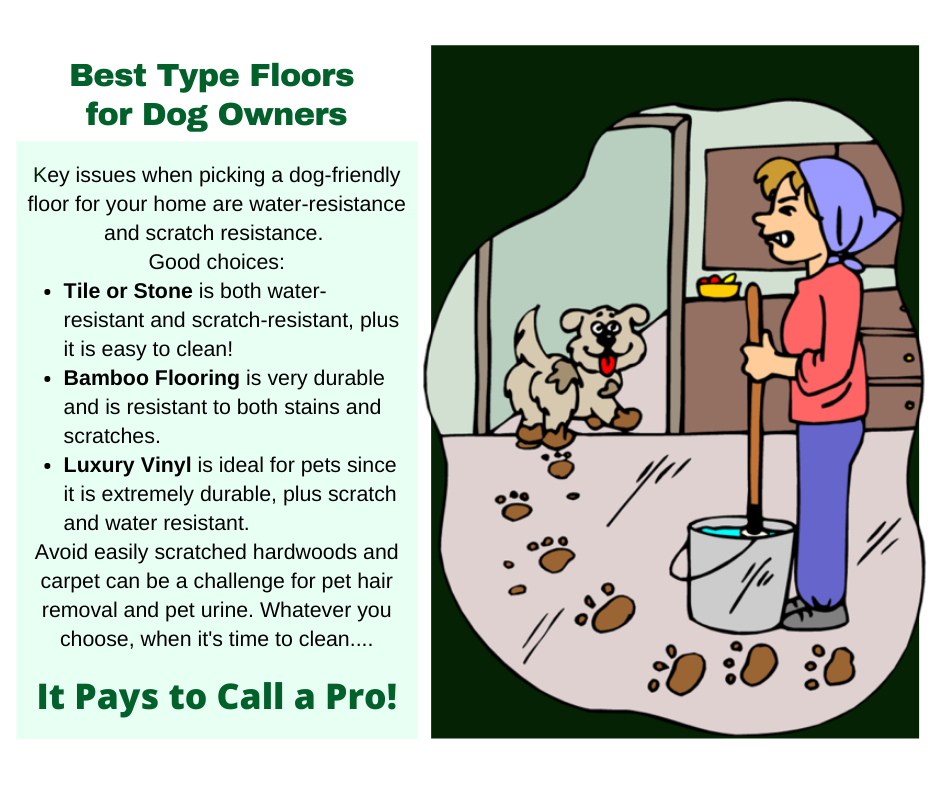 North Brunswick NJ - Best Floors for Dogs