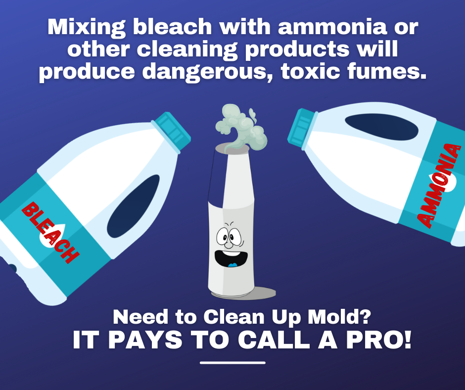 Clearwater FL - Don’t Mix Bleach & Ammonia