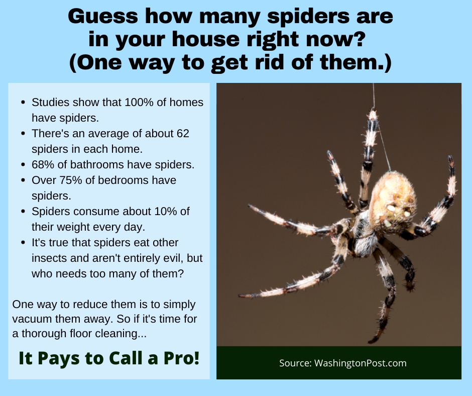 Gaithersburg MD - A Way to Get Rid of Spiders