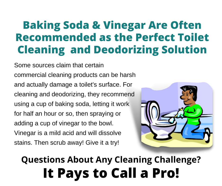 Gaithersburg MD - The Perfect Toilet Cleaning Solution
