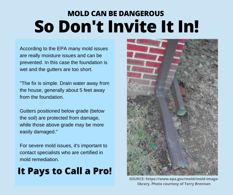 Houston TX – Mold is Dangerous