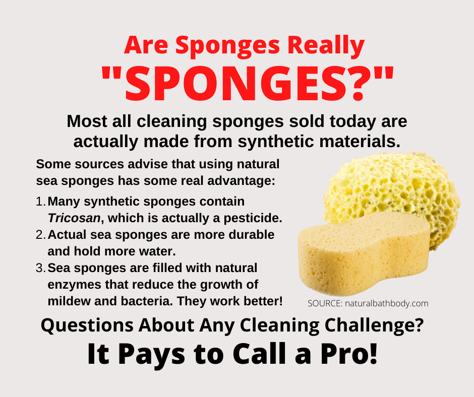 Apple Valley CA - Are Sponges Really SPONGES?