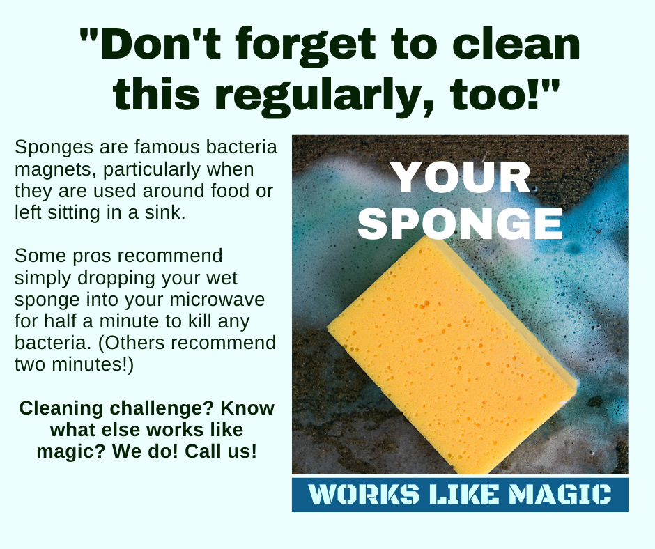 Shorewood IL - Clean Your Sponge