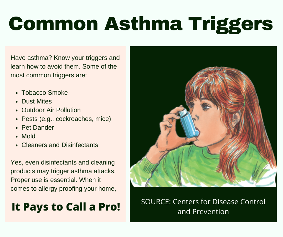 League City TX - Common Asthma Triggers