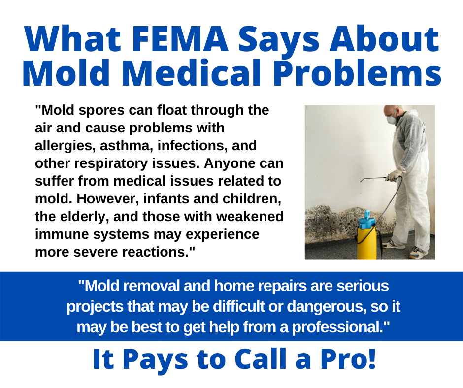 Bellingham, WA - What FEMA Says About Mold Medical Problems