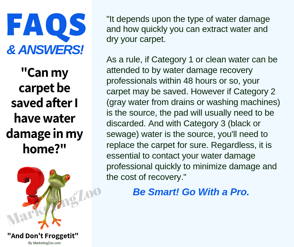 Chicago IL: Saving Carpets from Water Damage