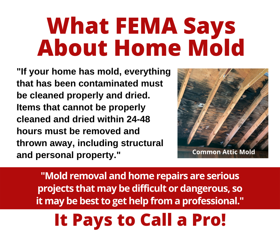 Ames IA - What FEMA Says About Home Mold