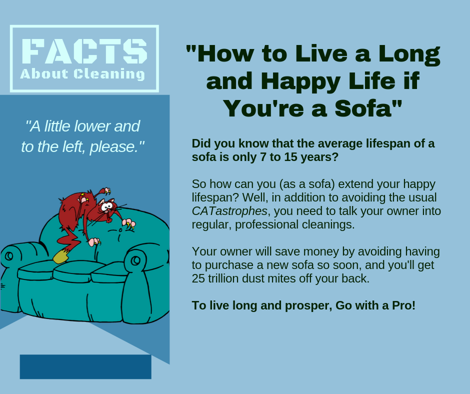 Sioux Falls SD - Clean Sofa for a Long Life