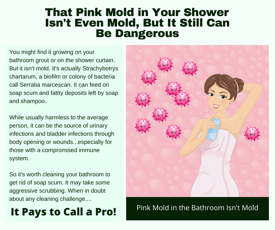 Frederick MD – Pink Bathroom Mold Isn’t Even Mold