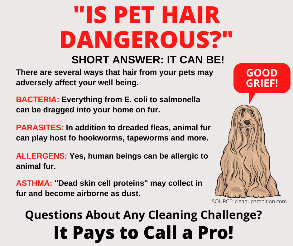 Pleasanton CA - Is Pet Hair Dangerous?