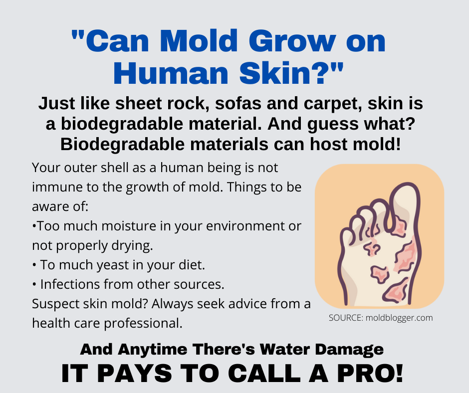 McAlester OK - Can Mold Grow on Human Skin?