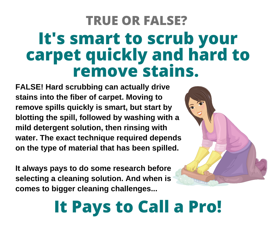 Barrington IL - Is It Smart to Scrub Carpet Stains?