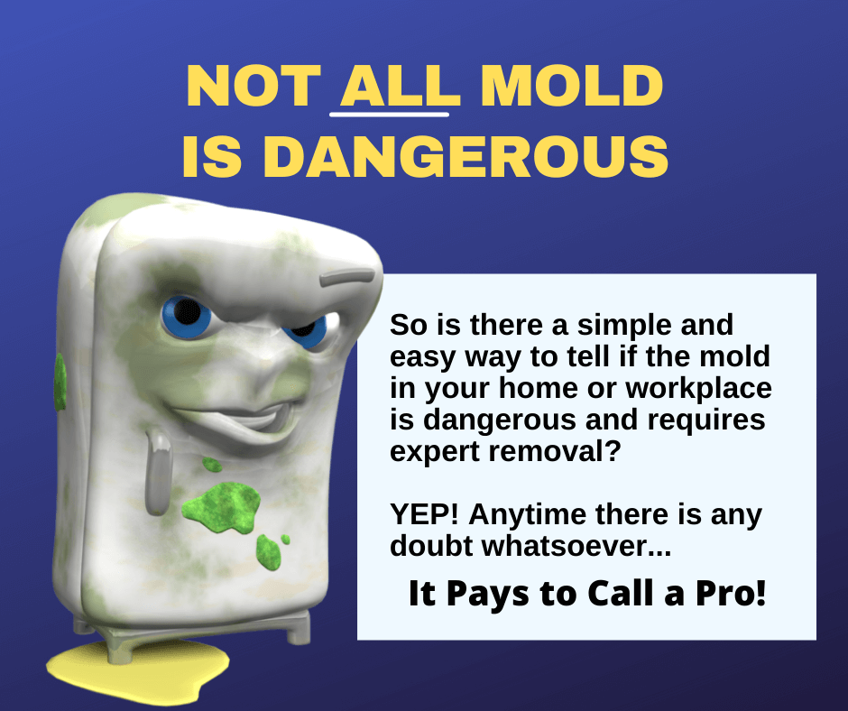 Salt Lake City UT - Not All Mold Is Dangerous