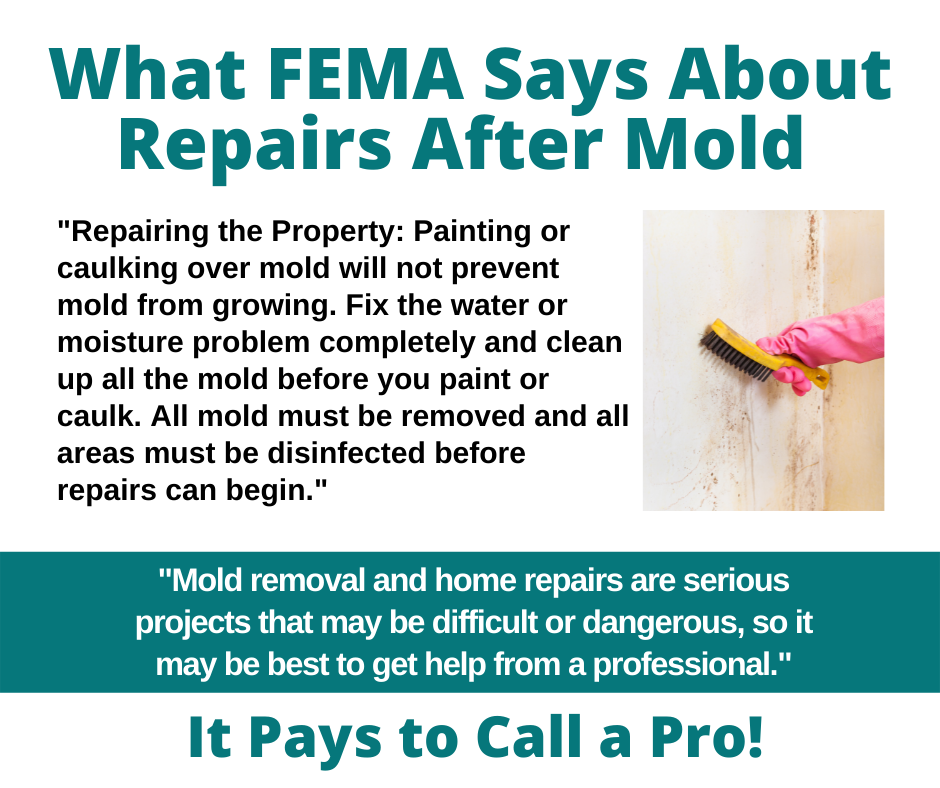 Long Island NY - What FEMA Says About Repairs After Mold