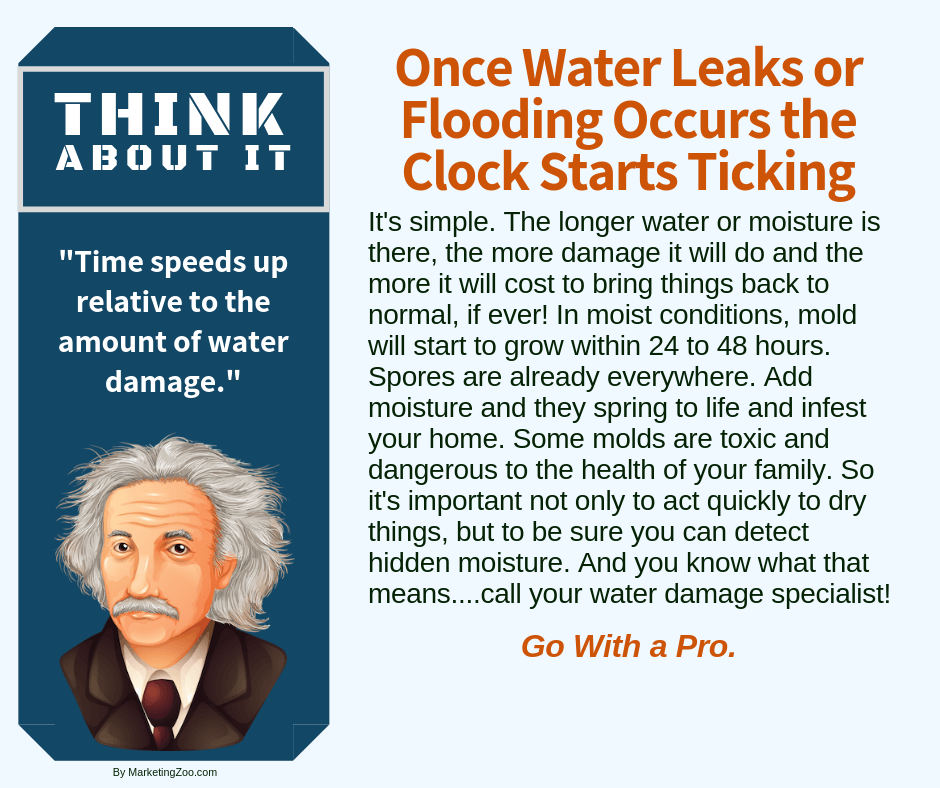 Tampa FL: Take Care of Water Damage Quickly